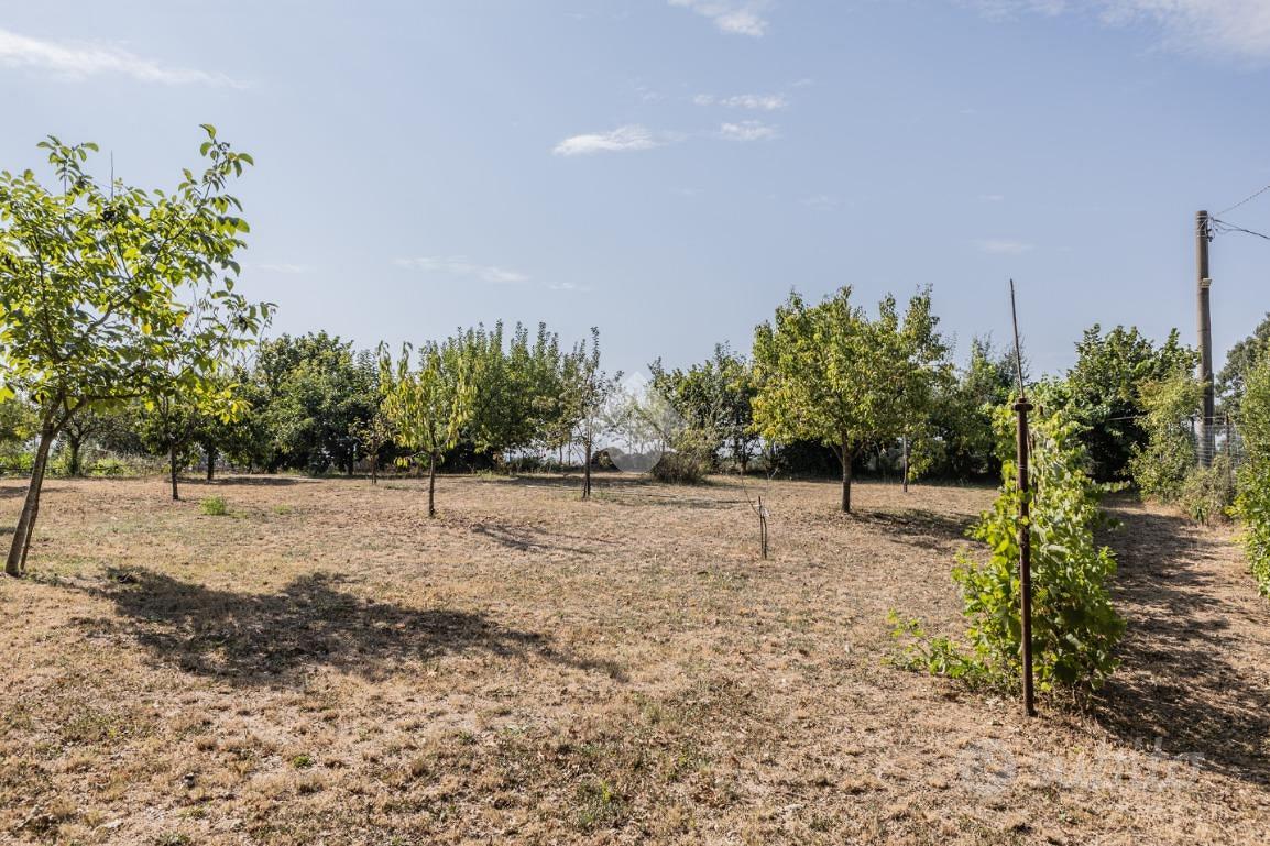Casa – Bassano Romano, Viterbo - Vista 3