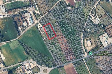 Terreno agricolo