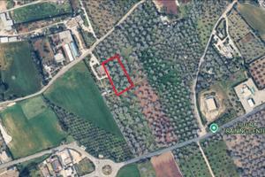 Terreno agricolo