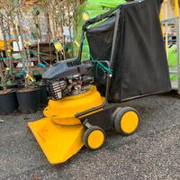 ASPIRAFOGLIE CARRELLATO PER GRANDI SUPERFICI