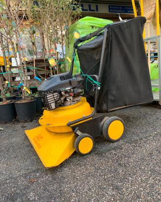 ASPIRAFOGLIE CARRELLATO PER GRANDI SUPERFICI