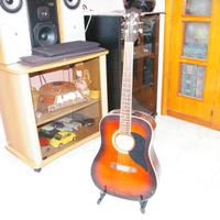 chitarra acustica EKO