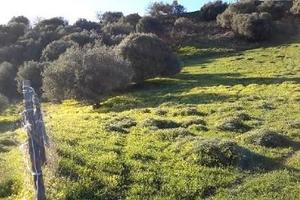 RGE 6/2015 Trib ENNA - LOTTO 3