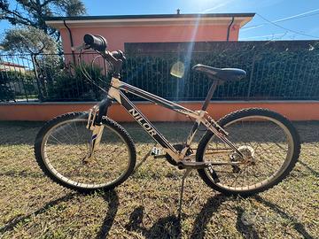 Bicicletta ragazzo