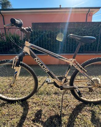 Bicicletta ragazzo