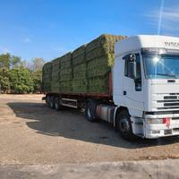 Erba Medica  e Foraggio