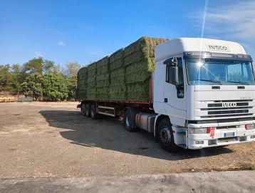 Erba Medica  e Foraggio