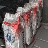 Caffè borbone miscela rossa in chicchi Sigillati