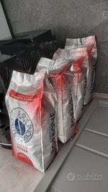 Caffè borbone miscela rossa in chicchi Sigillati