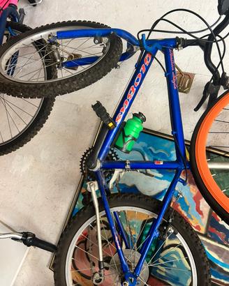 Mountain Bike “Globus” Italian Style