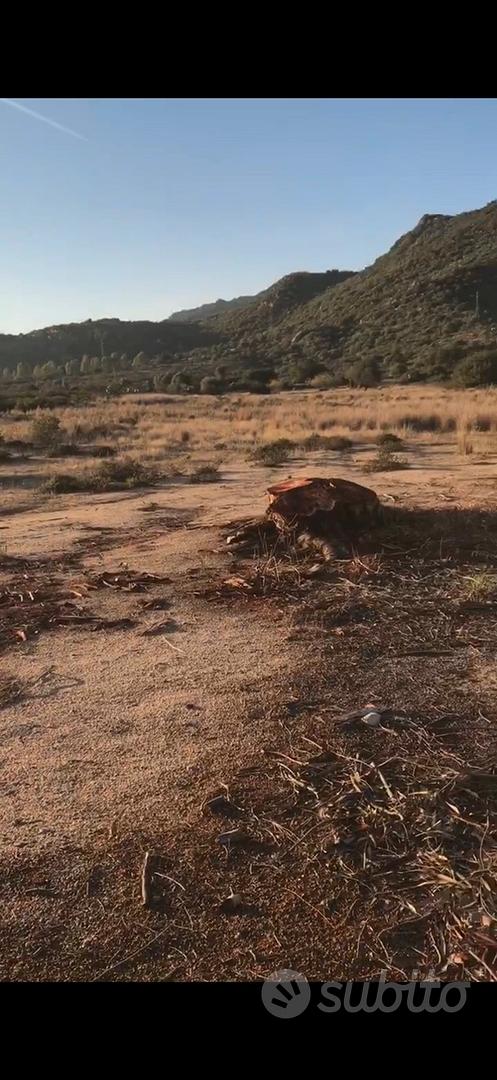 Terreno Lottizzabile - Torre Salinas-MURAVERA (CA) - Vista 4