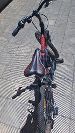 Licorne-Mountain bike
