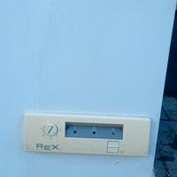 frizzer a pozzetto rex