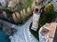 Immagine 12