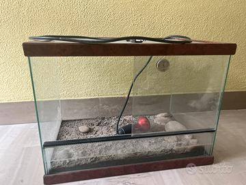 Terrario