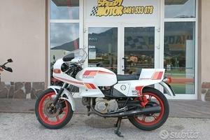 Ducati 600 Pantah