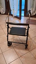 Deambulatore interno/esterno