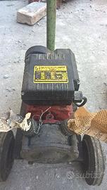 Elettropompa da travaso