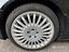 Immagine 8