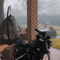 Harley Davidson 883 Sporster