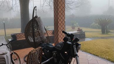 Harley Davidson 883 Sporster