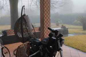 Harley Davidson 883 Sporster