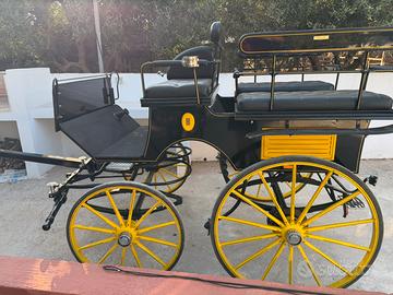 Carrozza per cavallo