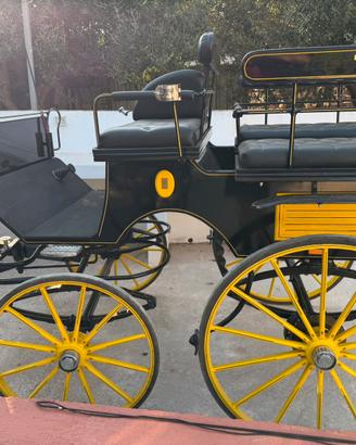 Carrozza per cavallo