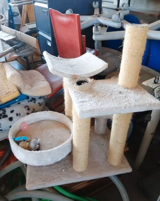Albero tiragaffi per gatti