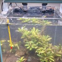 Acquario Aqpet completo di accessori