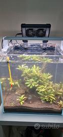 Acquario Aqpet completo di accessori