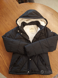 Piumino Hollister donna