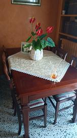 Tavolo e sedie