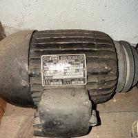 Motori trifase Elnor  e Fini Bologna