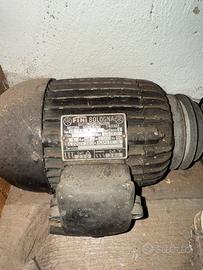 Motori trifase Elnor  e Fini Bologna