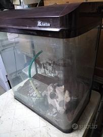 Acquario 