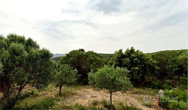 Terreno Agricolo - Loc. Suidatu Olbia