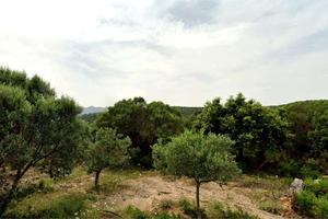 Terreno Agricolo - Loc. Suidatu Olbia