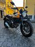 ducati-scrambler-800