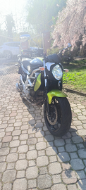 Suzuki gladius 650