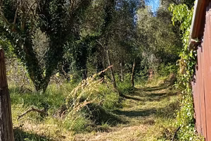 terreno agricolo per coltivazioni/animali/fotov