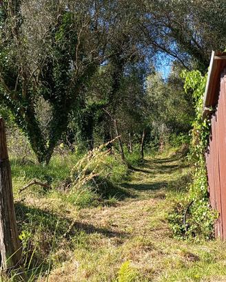 terreno agricolo per coltivazioni/animali/fotov