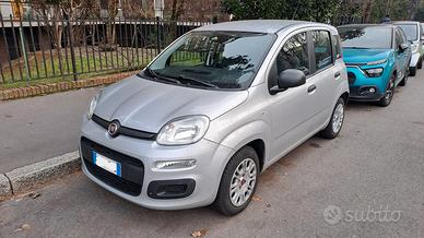 FIAT PANDA 3a SERIE 1.2 Easy