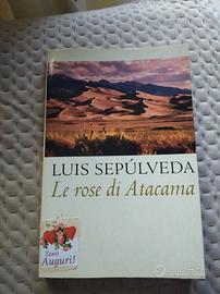 romanzo le rose di atacama