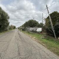 Magazzino con terreno agricolo di 7000 mq c.a.