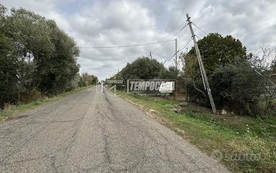 Magazzino con terreno agricolo di 7000 mq c.a.