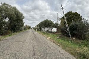 Magazzino con terreno agricolo di 7000 mq c.a.
