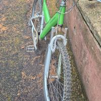 bicicletta  pinfarina 