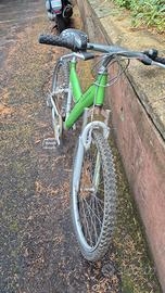 bicicletta  pinfarina 