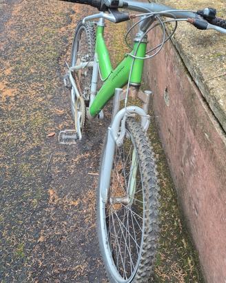 bicicletta  pinfarina 